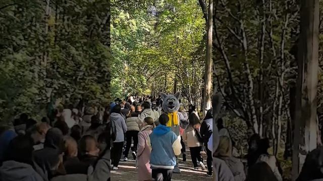 Всероссийская акция «СТУДзаБЕГ» в СПбГЛТУ смотреть онлайн