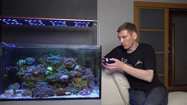 Как вырос мой риф за год смотреть онлайн