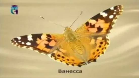 Ванесса смотреть онлайн