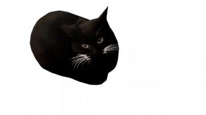 котик Максвелл песня 1 час🎧