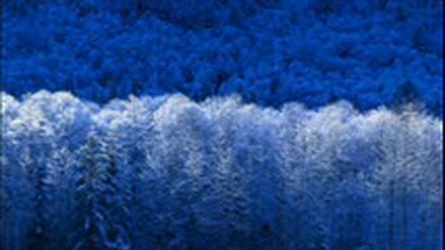 are years what philip glass смотреть онлайн