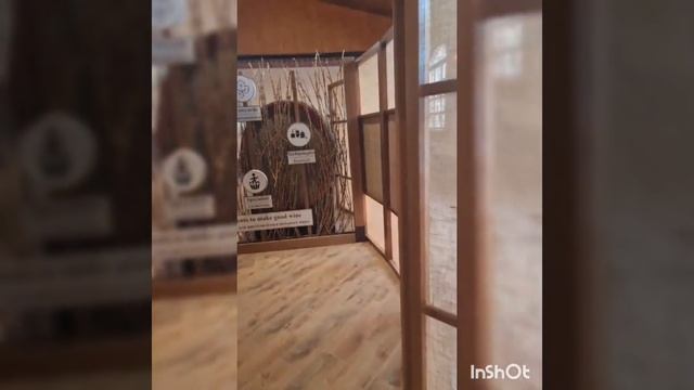 Термали Косино та дегустація в Чизай👍 смотреть онлайн