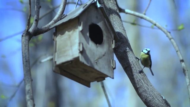 Царицыно TTArtisan 50mm F1 2