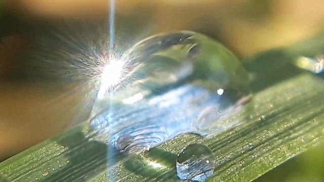 2 апреля 2023 г. смотреть онлайн