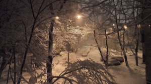 ПОЛ ГОДА ПЛОХАЯ ПОГОДА , ПОЛ ГОДА СОВСЕМ НИКУДА ( П. Смеян) 🎶