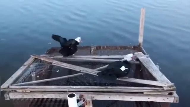На озере смотреть онлайн