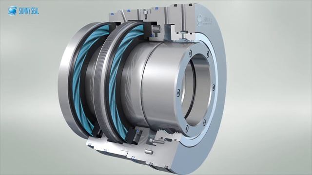 SINOSEAL, Formerly Knows As SUNNY Seal/SNSAmazing Animation Of Dry Gas Seal For Compressor