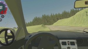 Погоня за преступником