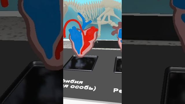 Эволюция кровообращения в VR смотреть онлайн