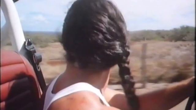 Hard Ticket To Hawaii 1987 ( B-Movie ) Ganzer Film Auf Deutsch / German / Von Andy Sidaris