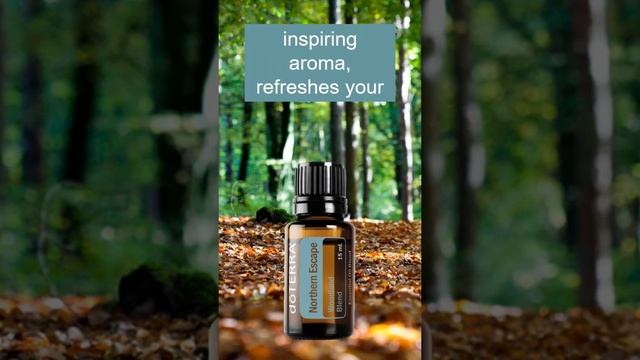 Northern Escape essential oil blend benefits and uses смотреть онлайн