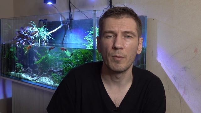Как выбрать фильтр для аквариума смотреть онлайн