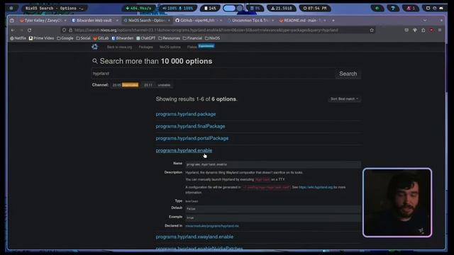 Creating A Stable Branch For My NixOS Configuration Live!