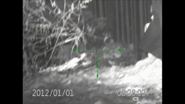 Rat shooting with Photon XT and BSA R10 .22 смотреть онлайн