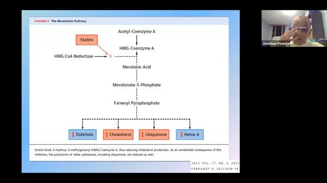 ¿Qué hemos aprendido de las vitaminas D, K y el calcio en el riesgo cardiovascular y osteoporosis? смотреть онлайн