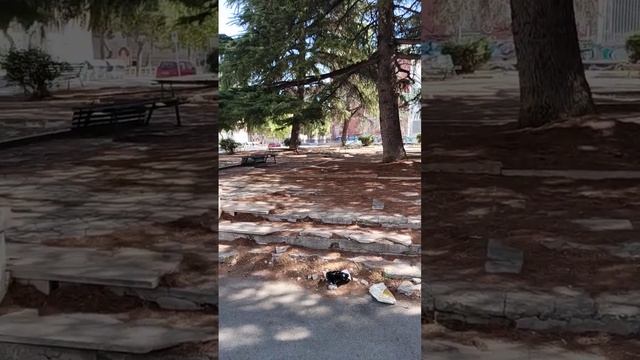VID 20240713 092834 смотреть онлайн