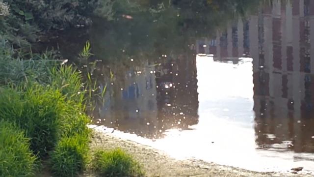 Солнечная рябь на воде смотреть онлайн