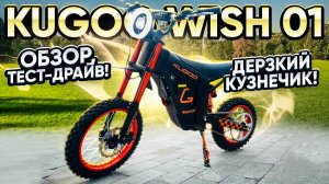 Электропитбайк Kugoo Wish 01 - обзор, тест-драйв, замер максималки, разбор.