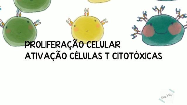 ATIVAÇÃO DE LINFÓCITOS T :PADRÕES TH1, TH2 E TH17- MAPA CONCEITUAL ANIMADO смотреть онлайн