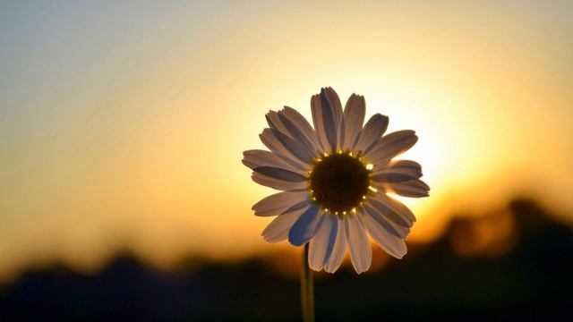 Sati Ethnica - Asatoma Mantra