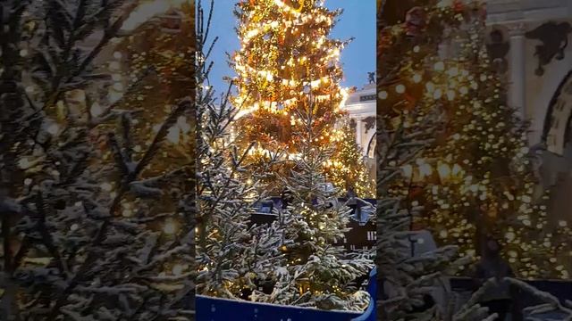 САНКТ-ПЕТЕРБУРГ...ДВОРЦОВАЯ ПЛОЩАДЬ ..ЕЛКА..10 ЯНВАРЬ 2024 ГОД..🌲🌲🌲🌲❄️❄️❄️❄️☕️ смотреть онлайн