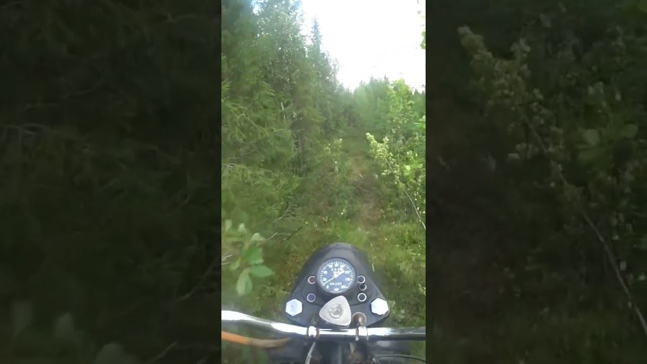 одно направление смотреть онлайн