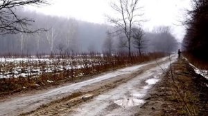 Охота на кабана загоном 🐗🐗🐺🐻