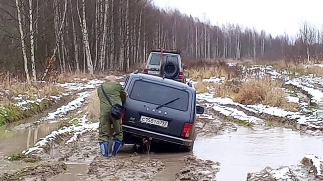VID_20241116_122639 смотреть онлайн