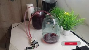 🔮Кристально чистый самогон: фильтрация для ленивых🧹 От мутного к идеальному