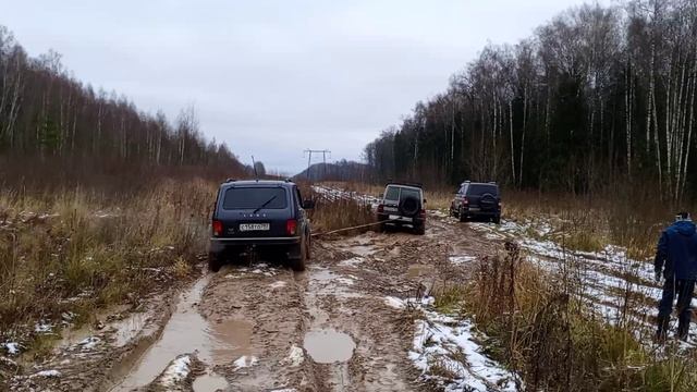 VID_20241116_114733 смотреть онлайн