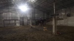 VID_20241123_184412.mp4