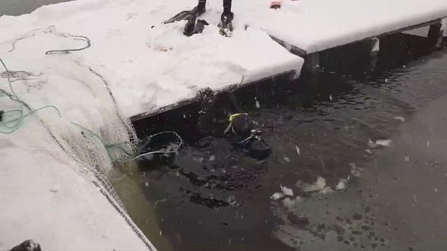 23-11-2024 смотреть онлайн