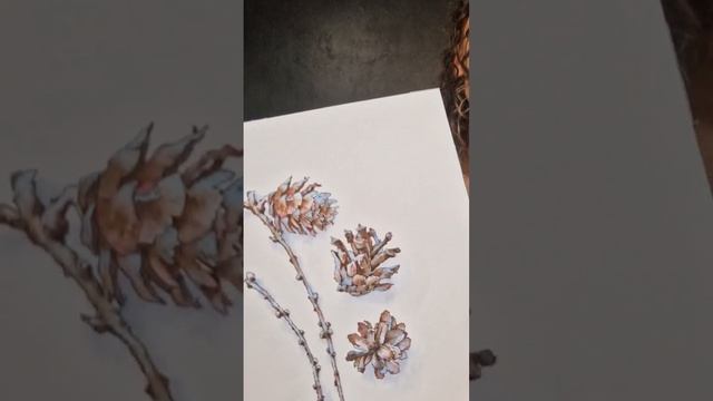 Сегодня разбираем построение шишки и рисуем их на мастер-классе художника Лены Крыминой смотреть онлайн