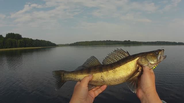 Троллинг по святым местам Выполнил норму и закончил рыбалку