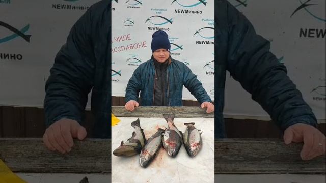гости водоёма смотреть онлайн