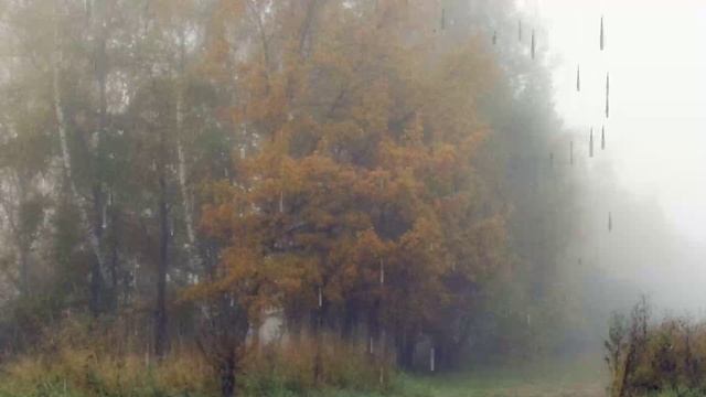 23.11.2024 смотреть онлайн