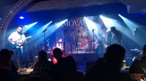 Борис Плотников и его группа - Полине. 20.11.2024