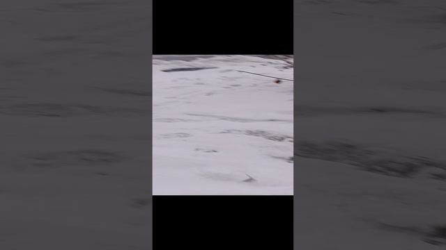 большой снегопад смотреть онлайн