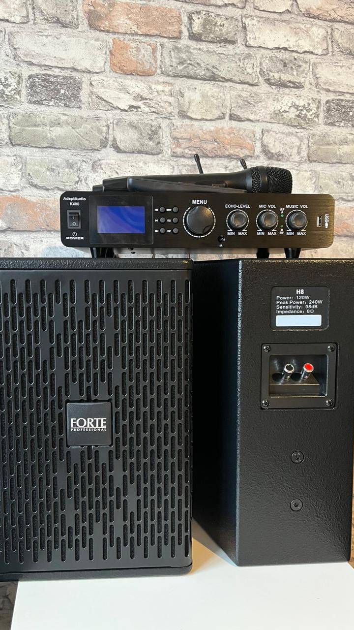 AdeptAudio K400SET комплект звукового оборудования для караоке, конференц зала, всё включено