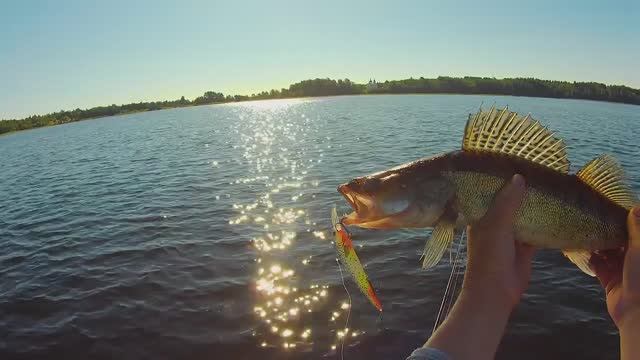 Рыбалка на дорожку у церкви Сработал кислотный воблер