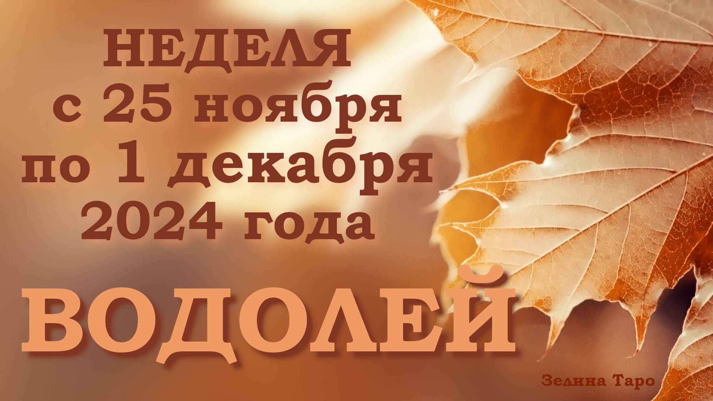 ВОДОЛЕЙ | Таро прогноз на неделю с 25 ноября по 1 декабря 2024 года