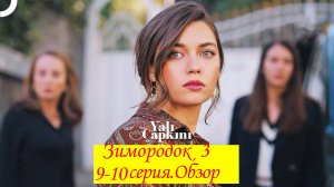 Зимородок 3. Серия 9-10. Обзор-пересказ.