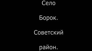 село Борок  Кукарка. Советский район . Вятка.