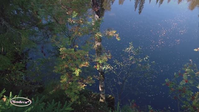 Карелия водопады часть 2 смотреть онлайн