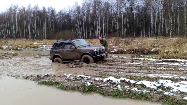 VID_20241116_123439 смотреть онлайн