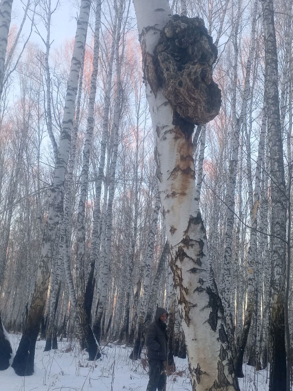 Я в эфире смотреть онлайн