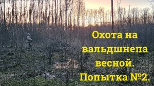 Охота на вальдшнепа весной. Попытка №2