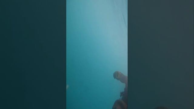 Упражнения КАП 10 смотреть онлайн