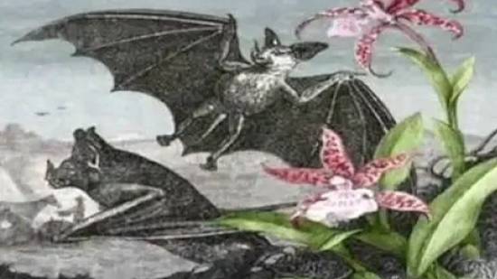 Вампиры смотреть онлайн