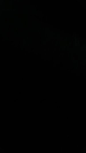 Я катаюсь с друзьями на лыжах